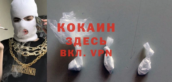 эйфоретик Бородино