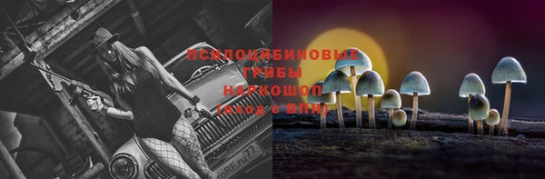 эйфоретик Бородино