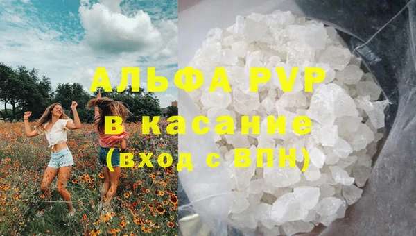 эйфоретик Бородино