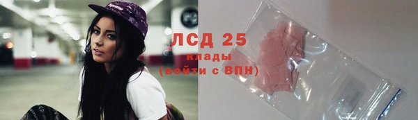 эйфоретик Бородино