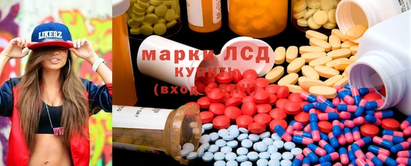 эйфоретик Бородино