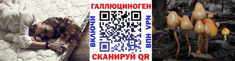 купить закладку  Ковдор  Псилоцибиновые грибы мухоморы 